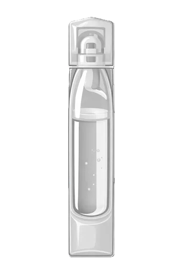 PERFOROMIST inhaler